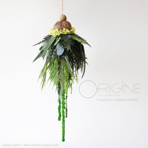 suspension-végétale-ourico-fougère-amarante-hortensia-stabilisé-origine-atelier-floral