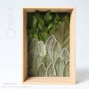 leaf forest tableau-végétal-feuilles-stabilisées-eucalyptus-décoration-végétale-origine-atelier-floral