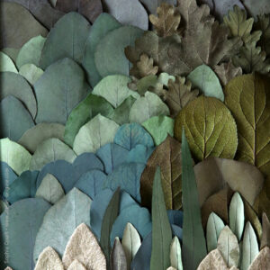 leaf forest tableau-végétal-feuilles-stabilisées-eucalyptus-décoration-végétale-origine-atelier-floral