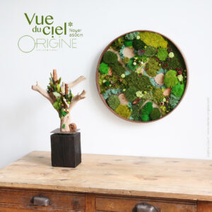 tableau-végétal-végétaux-stabilisés-forêt-vue-du-ciel-cadre-rond-en-noyer-50-cm-Origine-atelier-floral