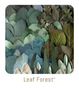 boutons site shop leaf forest tableau végétal