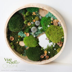 tableau-végétal-foret-vue-du-ciel-30-cm-miroir-vegetaux-stabilisés-origine-atelier-floral