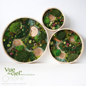 tableau-végétal-foret-vue-du-ciel-trio-vegetaux-stabilisés-art-floral-origine-atelier-floral