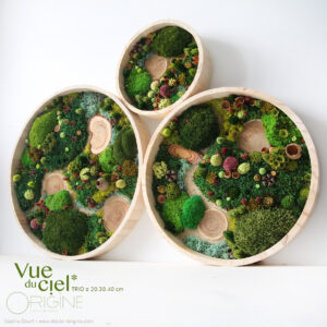 tableau-végétal-foret-vue-du-ciel-trio-vegetaux-stabilisés-art-floral-origine-atelier-floral