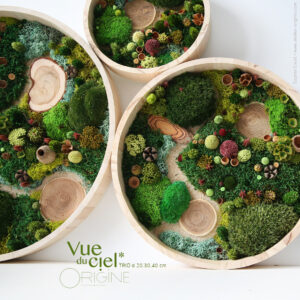 tableau-végétal-foret-vue-du-ciel-trio-vegetaux-stabilisés-art-floral-origine-atelier-floral