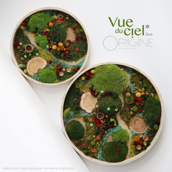 tableau-végétal-foret-vue-du-ciel-vegetaux-stabilisés-origine-atelier-floral-duo-automne.2