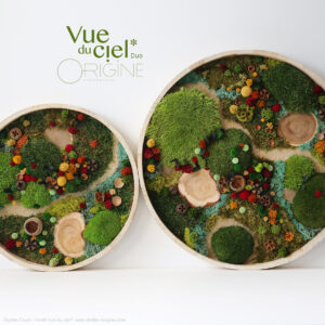 tableau-végétal-foret-vue-du-ciel-vegetaux-stabilisés-origine-atelier-floral-duo-automne.2