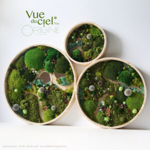 tableau-végétal-foret-vue-du-ciel-vegetaux-stabilisés-origine-atelier-floral-trio.2