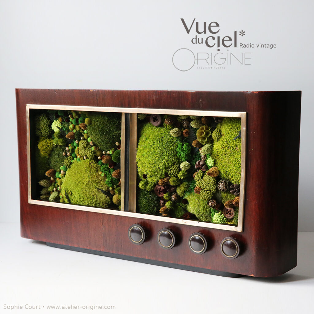 tableau-végétal-vintage-radio-ancienne-foret-vue-du-ciel-origine-atelier-floral