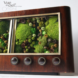 tableau-végétal-vintage-radio-ancienne-foret-vue-du-ciel-origine-atelier-floral