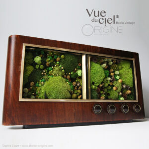 tableau-végétal-vintage-radio-ancienne-foret-vue-du-ciel-origine-atelier-floral