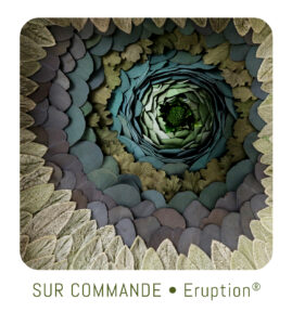 bouton-sur-commande-Eruption-sophie-court-origine-atelier-floral