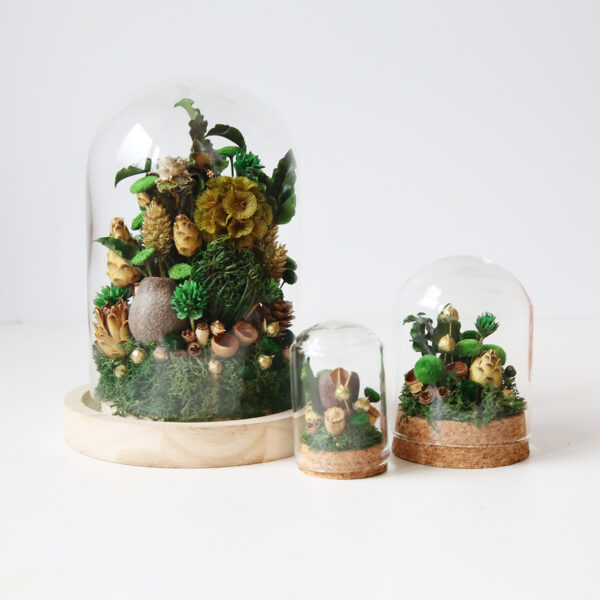 cloche-globe-mini-origine-atelier-floral