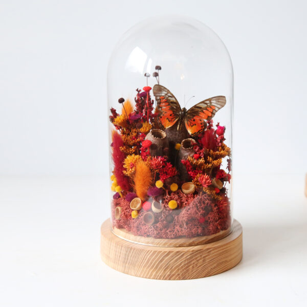 cloche-globe-mini-origine-atelier-floral