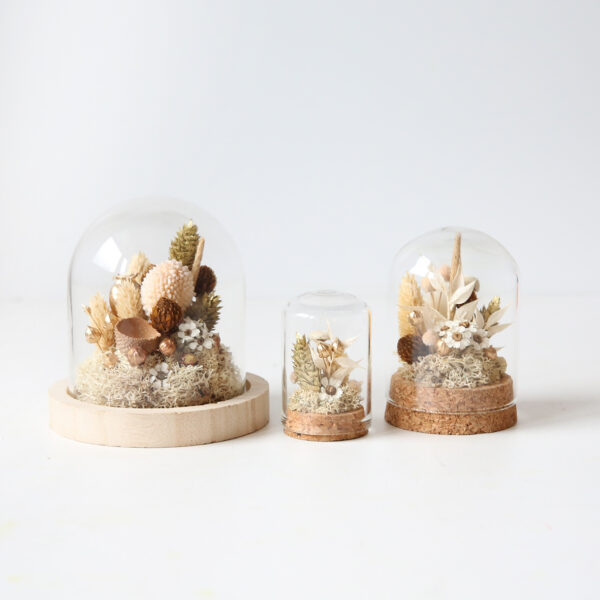 cloche-globe-mini-origine-atelier-floral