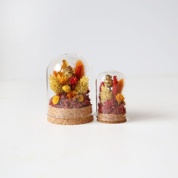 cloche-globe-mini-origine-atelier-floral