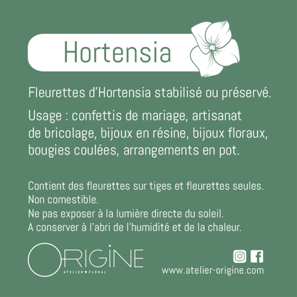 Fleurettes-hortensia-stabilisé-préservé-confettis-mariage-artisanat-bricolage-diy-bijoux-en-résine-bijoux-bougies-fleurie