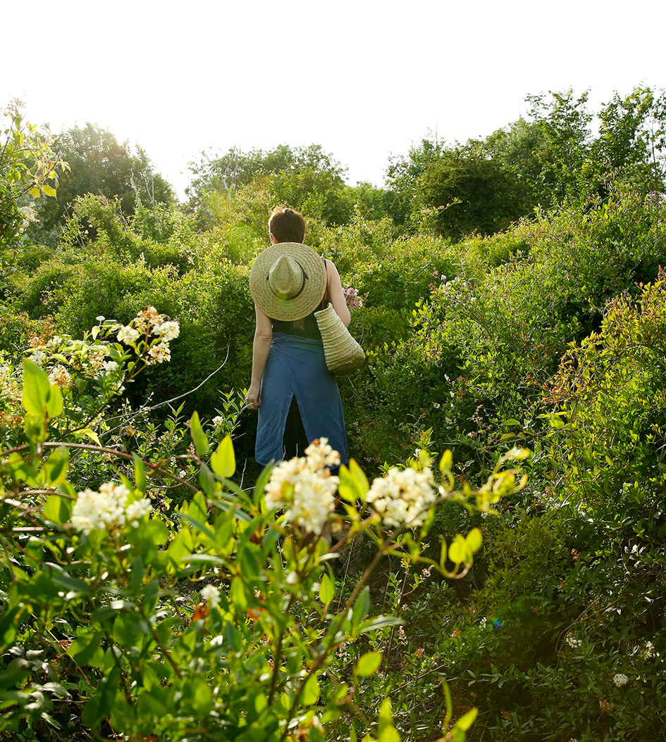 Sophie Court origine atelier floral balade en nature a propos qui suis je