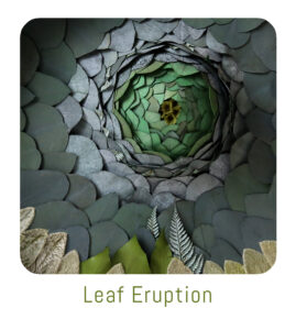 bouton leaf eruption origine atelier floral sophie court