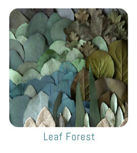 boutons leaf forest origine atelier floral sophie court