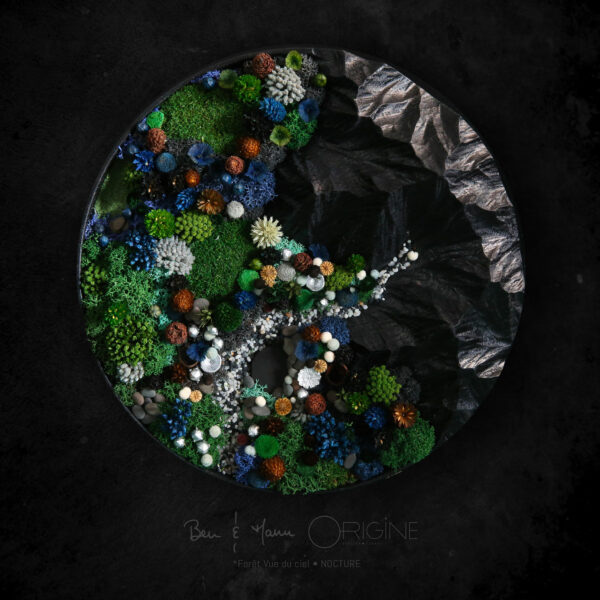 foret-vue-du-ciel-tableau-végétal-collaboration-ben-et-manu-origine-atelier-floral-collection-nocturne-a