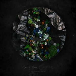 DUO Ben & Manu • Origine . Forêt Vue du Ciel 25 cm • Nocturne